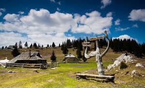 Velika planina 1